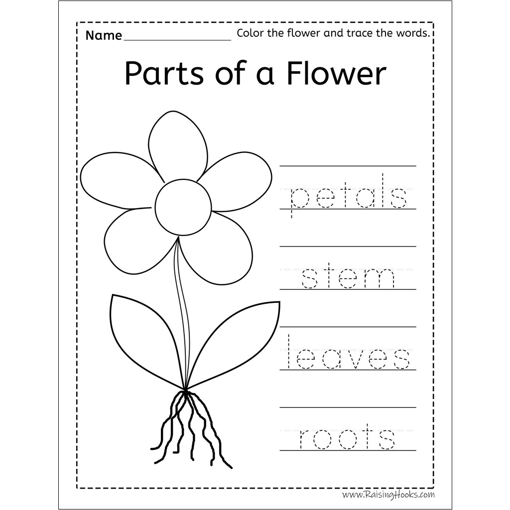 Flower Worksheet Printable Printable Word Searches