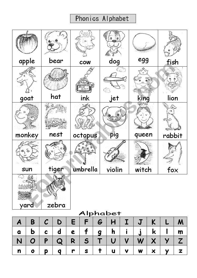 Phonic Sound Of Alphabets Phonics Poster Sounds Alphabet Phase English 