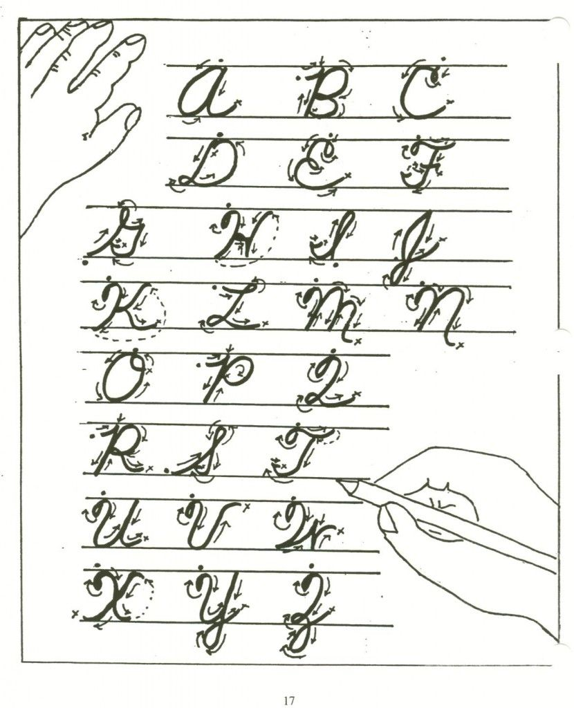 Cursive Alphabet Order AlphabetWorksheetsFree