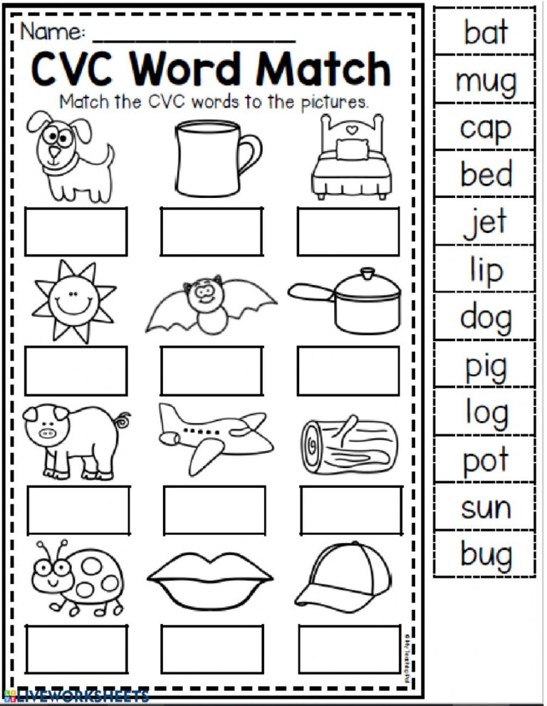 Cvc Words Interactive Worksheet