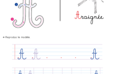 Écrire L'alphabet Majuscule Cursive Cp Ce1 | Écriture Cp Ce1