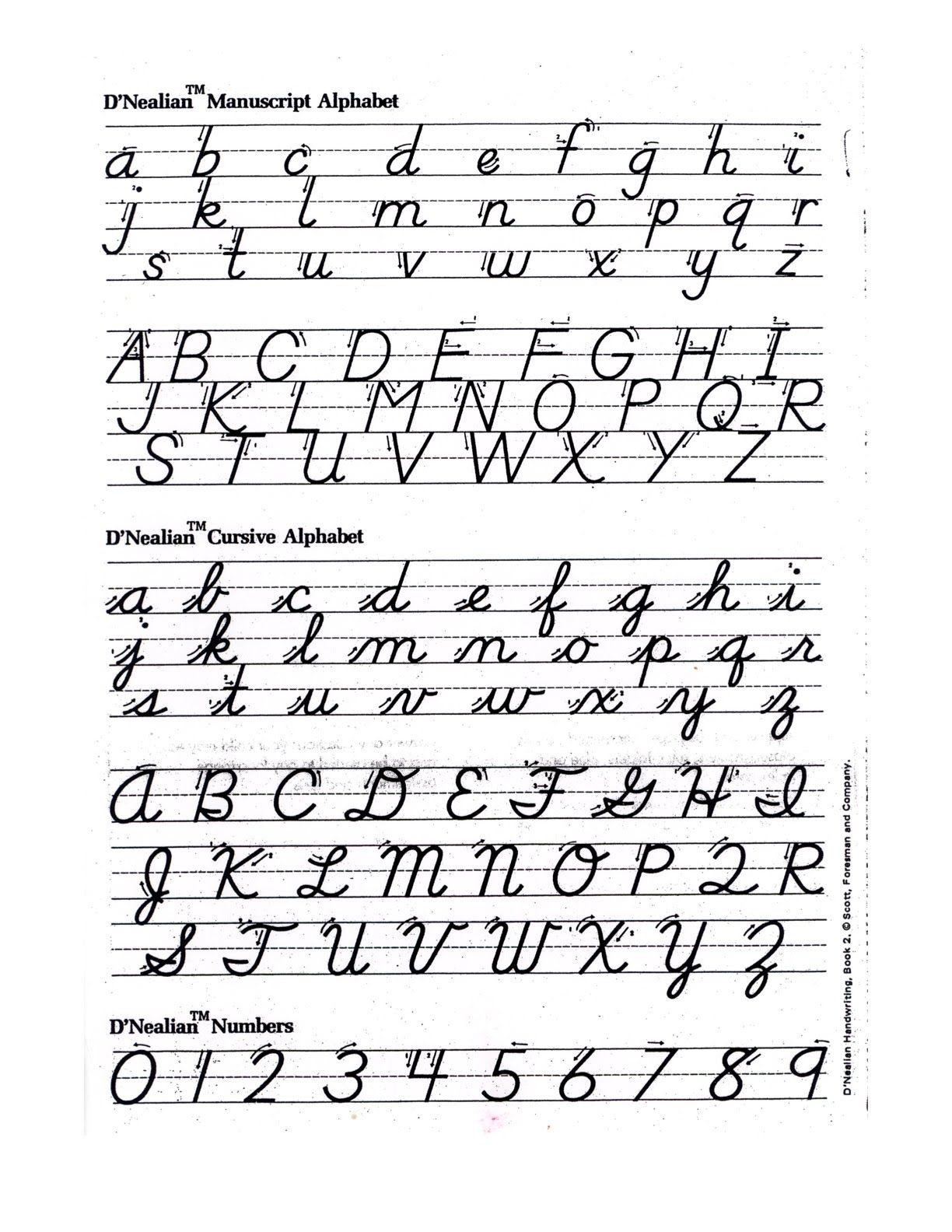 D nealian Cursive Alphabet Printable AlphabetWorksheetsFree