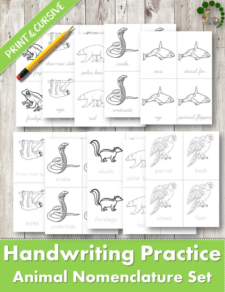 worksheet handwriting practice for children montessori