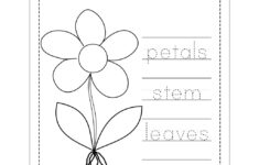 Worksheet ~ Parts Of Flower Word Trace Raising Hooks Create