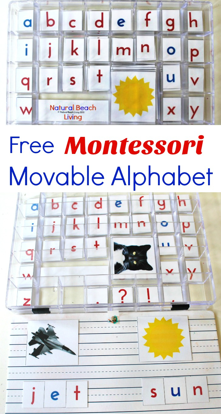 Cursive Moveable Alphabet Printable AlphabetWorksheetsFree