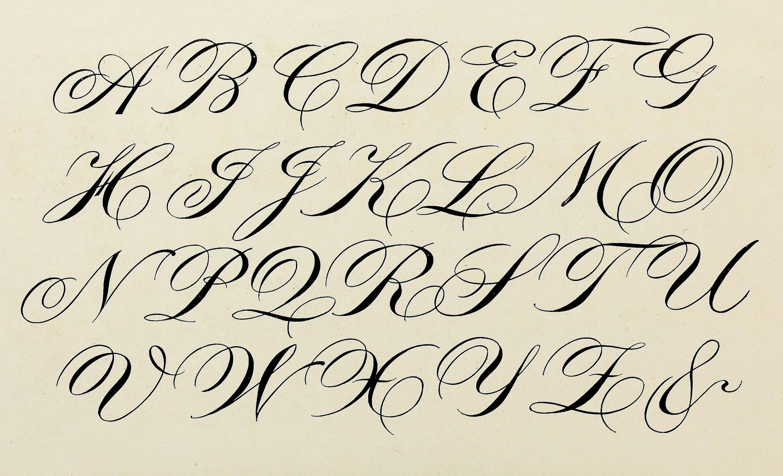 Cursive Alphabet Calligraphy AlphabetWorksheetsFree