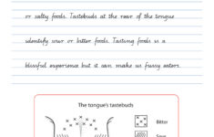 Handwriting Conventions QLD Year 6 Teachers 4