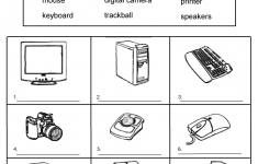 11 Best Images Of Library Skills Worksheets For