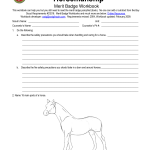 18 Best Images Of Worksheets About Horses Horse