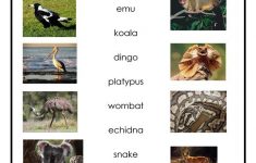 Australian Animals Worksheet Free ESL Printable