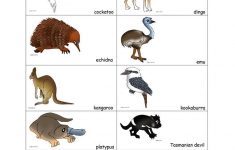 Australian Animals Worksheet Free ESL Printable