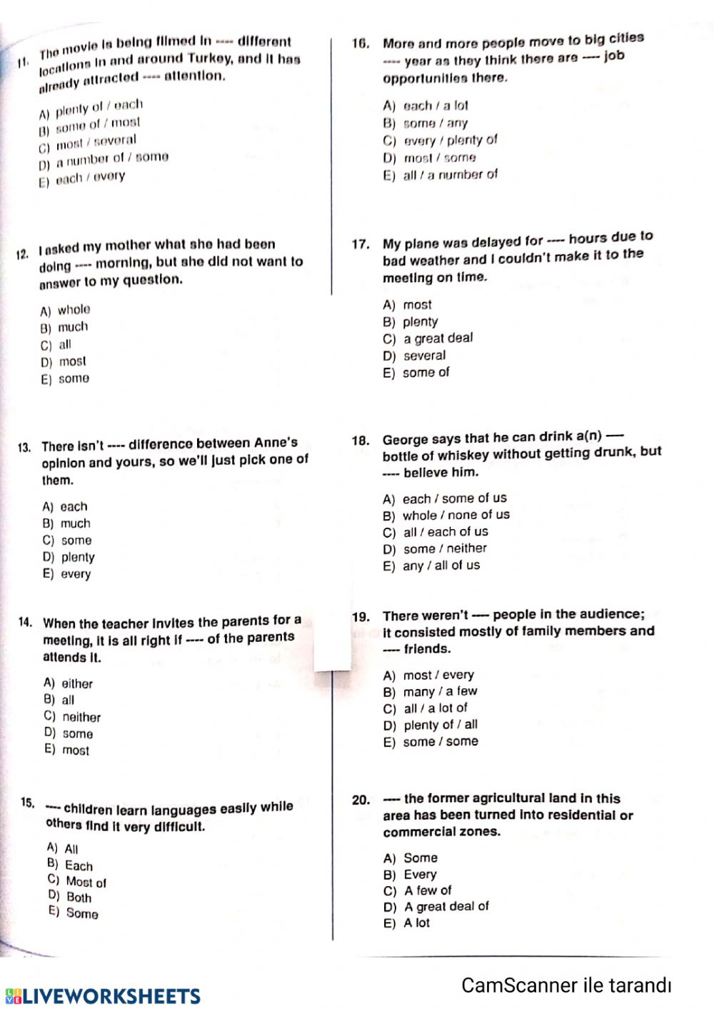 Determiners Interactive Activity