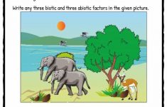 Ecosystem Worksheets Biotic Abiotic Lesson Resources