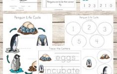 FREE Penguin Life Cycle Worksheets 123 Homeschool 4 Me