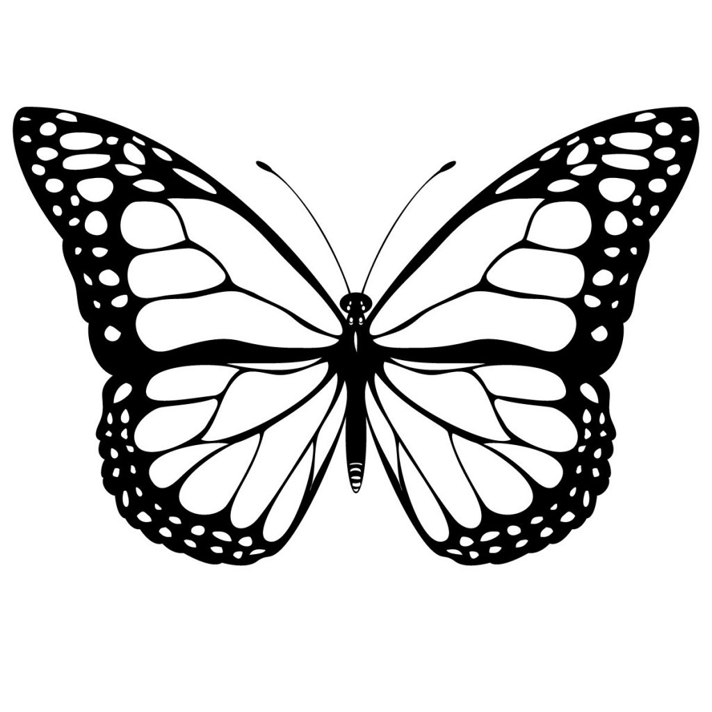 Free Printable Butterfly Coloring Pages For Kids