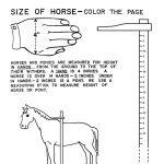 Illustrations Handouts Horse Lessons Horse Riding