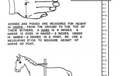 Illustrations Handouts Horse Lessons Horse Riding