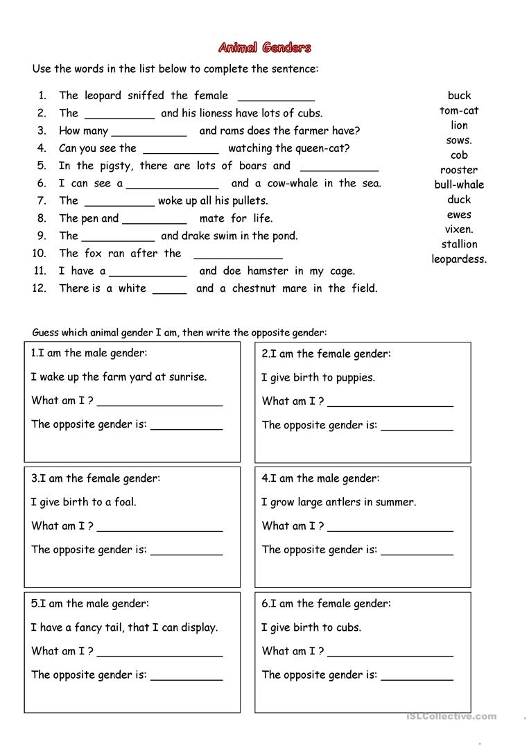 Nouns Gender Animals Worksheet Free ESL Printable 