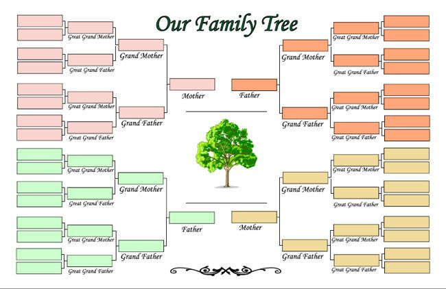 Printable Family Tree Maker Family Tree Printable 