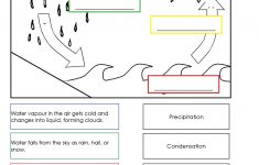 Science Worksheets For Grade 2 To Educations Science