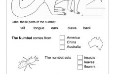 The Numbat An Australian Animal Worksheet Free ESL