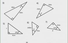 Trig Ratios Worksheet Free Sure Trigonometry Worksheets