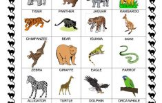 Zoo Animals Pictionary Worksheet Free ESL Printable