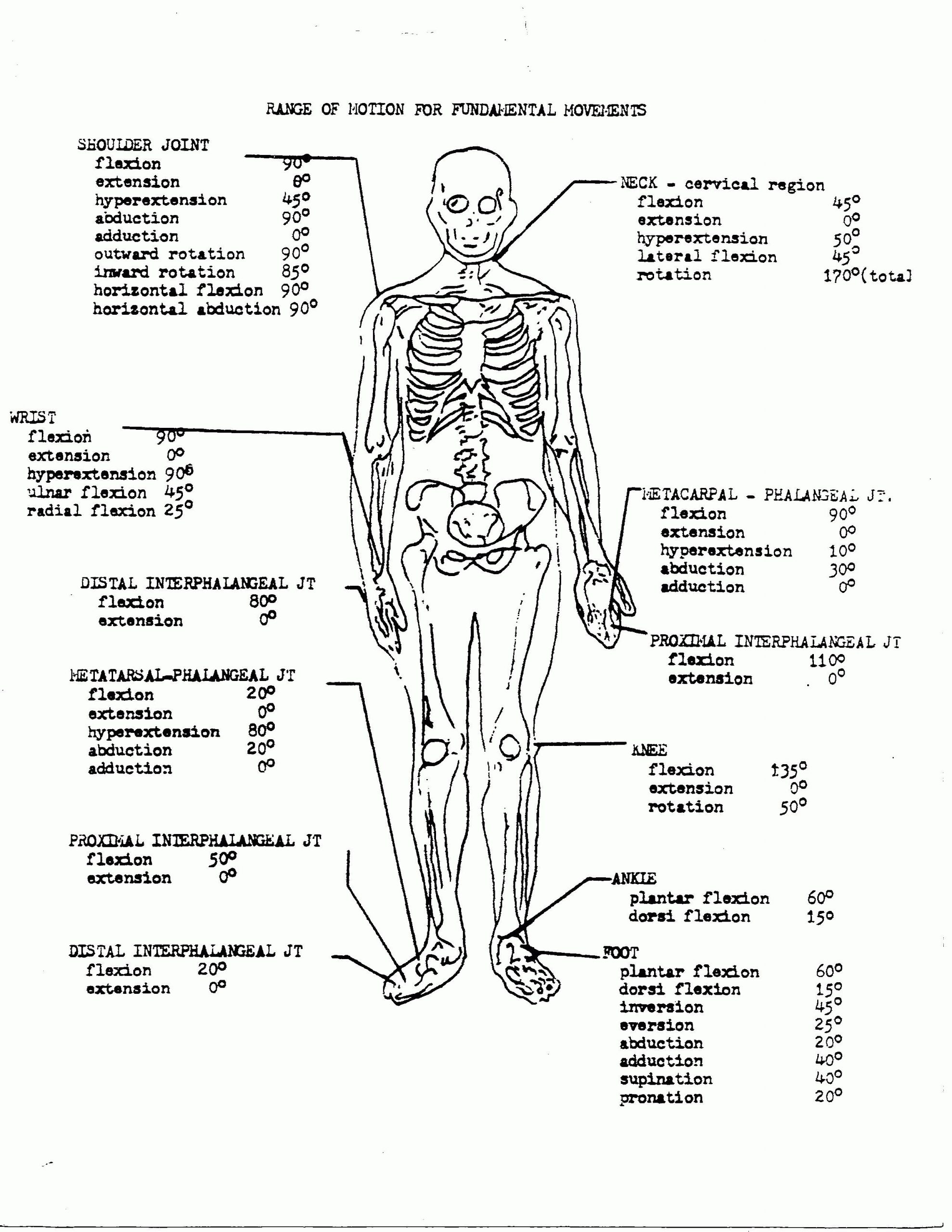 Anatomy And Physiology Coloring Workbook Answer Key Unique 