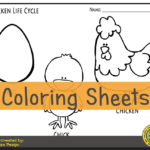 Chicken Life Cycle FREEBIE Friday Color Sheet PLAYTIME FELTS