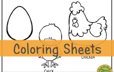 Chicken Life Cycle FREEBIE Friday Color Sheet PLAYTIME FELTS