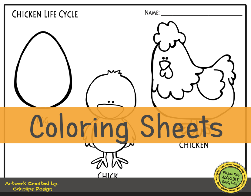 Chicken Life Cycle FREEBIE Friday Color Sheet PLAYTIME FELTS