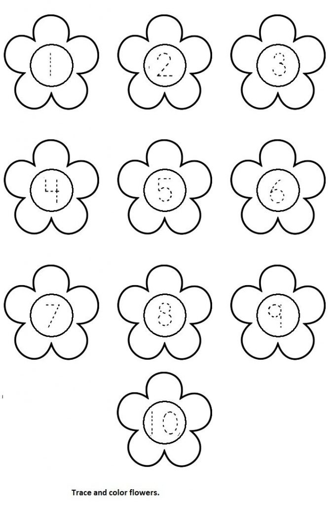 Flower Worksheet Crafts And Worksheets For Preschool