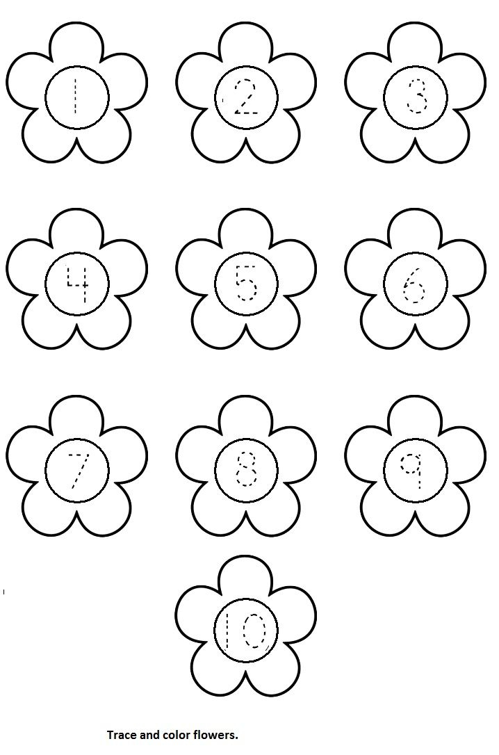 Flower Worksheet Crafts And Worksheets For Preschool 