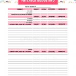 Free Printable Budgeting Binder 15 Pages Printable