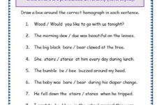 Grade 3 Grammar Topic 25 Homographs Worksheets Lets