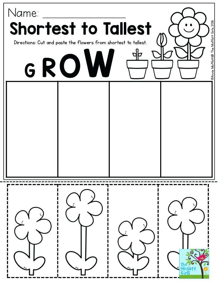 Pin On Printable Worksheet Layout