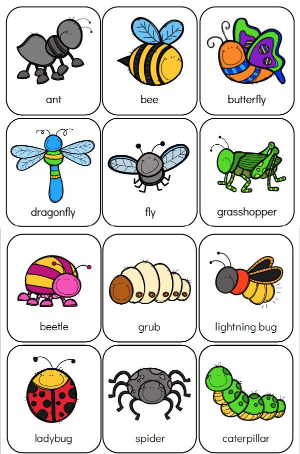 Printable Preschool Bug Activities For Kids Bugs 