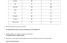 DIPLOID And HAPLOID WORKSHEET