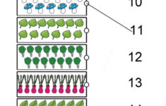 Free Counting Up To 20 Worksheets For Preschool